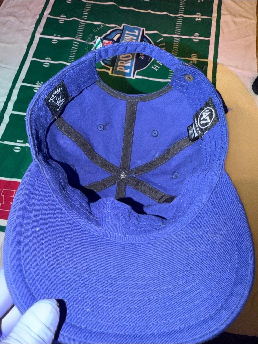 NHL Blue Cap with Green and White Hartford Whalers Logo